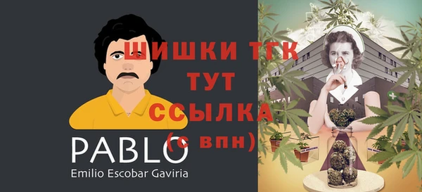 МДПВ Осинники