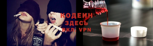 мдпв Осташков