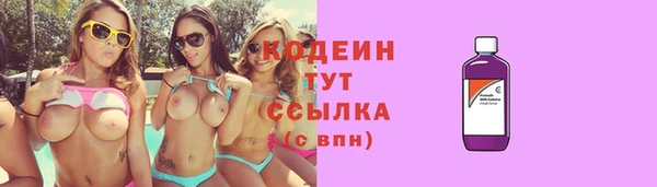 мдпв Осташков
