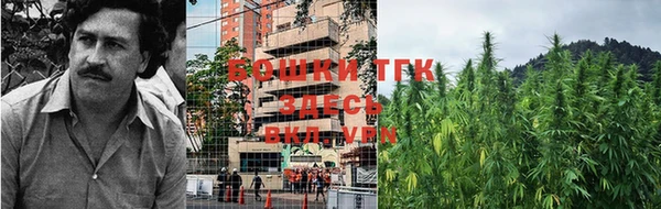 мдпв Осташков