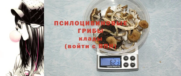 МДПВ Осинники