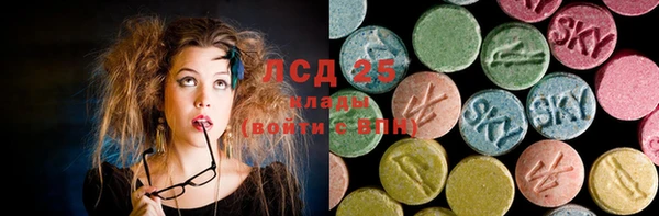 ГАЛЛЮЦИНОГЕННЫЕ ГРИБЫ Абаза