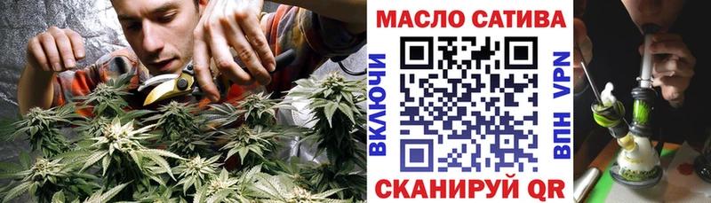 купить наркотики сайты  Судогда  Дистиллят ТГК THC oil 